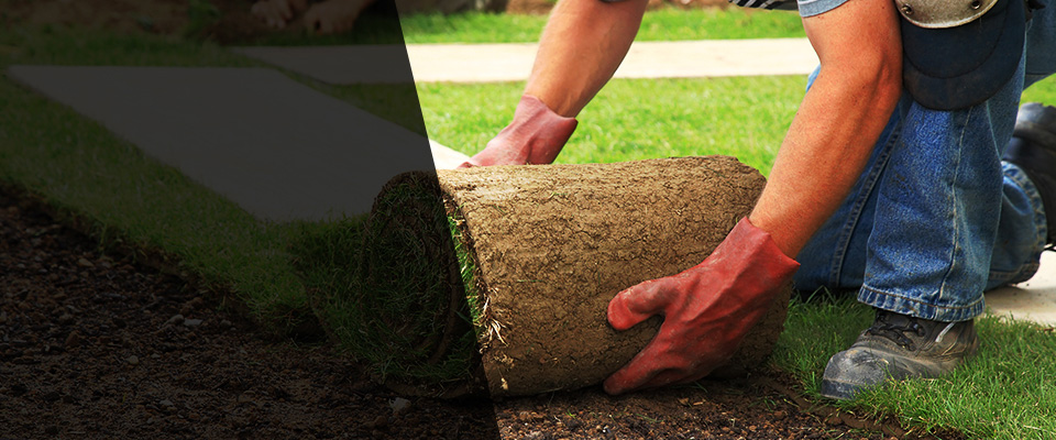 Battle Mountain Landscapers